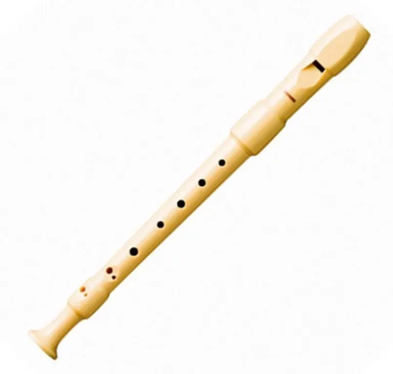Playing Recorder For Beginners 4 Hohner 9517 Recorder