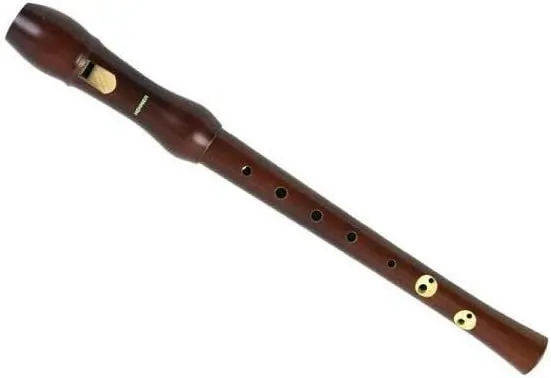 Playing Recorder For Beginners 5 Hohner 9556 Recorder