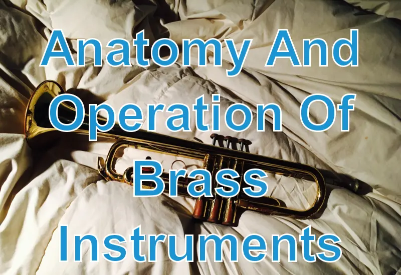 Anatomy And Operation Of Brass Instruments