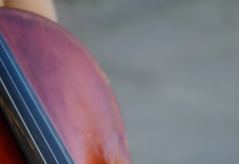 What Are The Differences Between A Violin And A Viola?