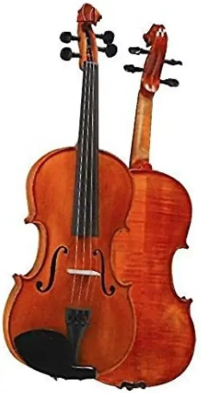 DZ Strad Model 101 Violin