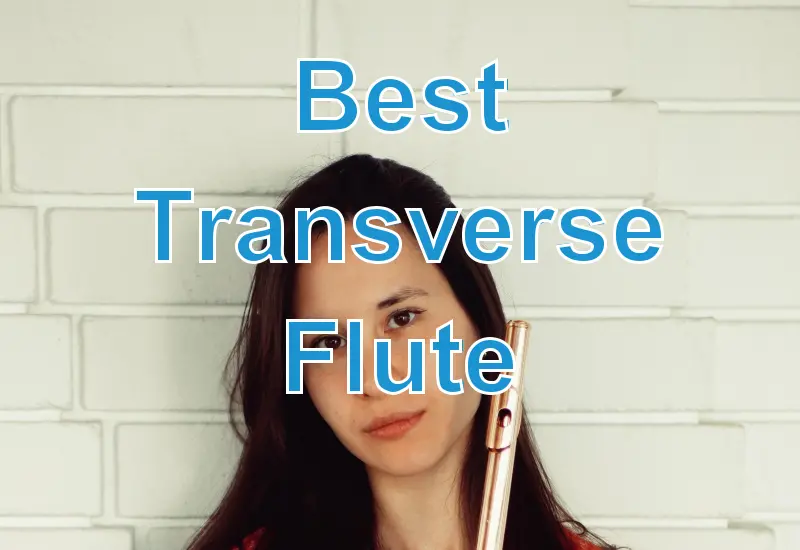 Best Transverse Flute: The Comparison July 2022